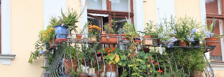 Blumenkästen auf einem Balkon